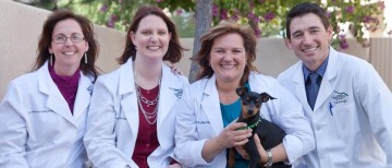 Desert Veterinary Medical